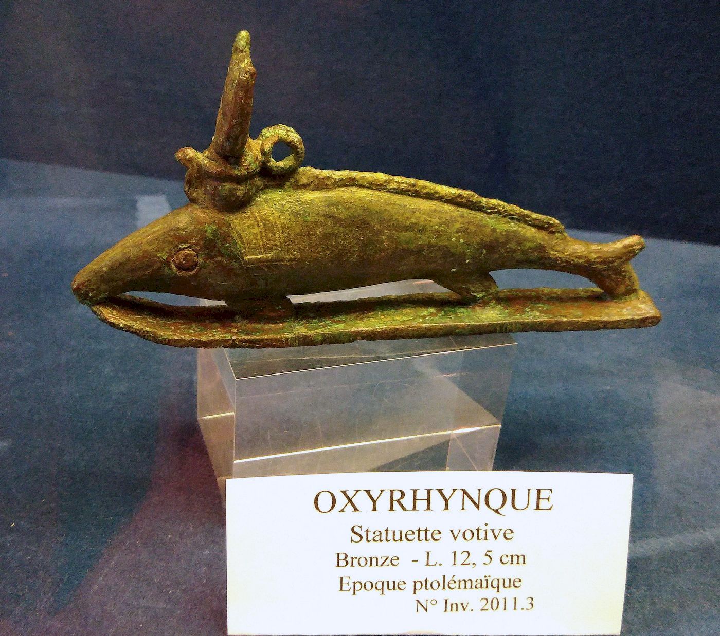 Oxyrhynque, époque ptolémaïque, Musée Josèphe Jacquiot, Montgeron (Essonne)